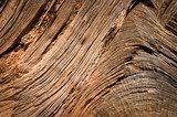 Magie de la texture de bois 