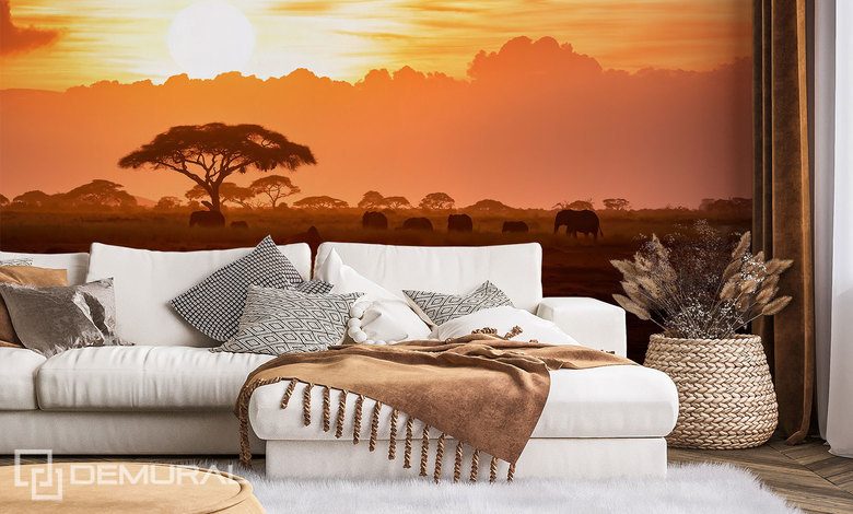 coucher de soleil africain papiers peints coucher de soleil papiers peints demural