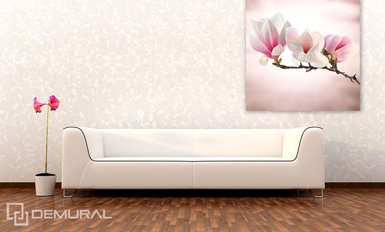 magnolia en fleurs posters fleurs affiches demural